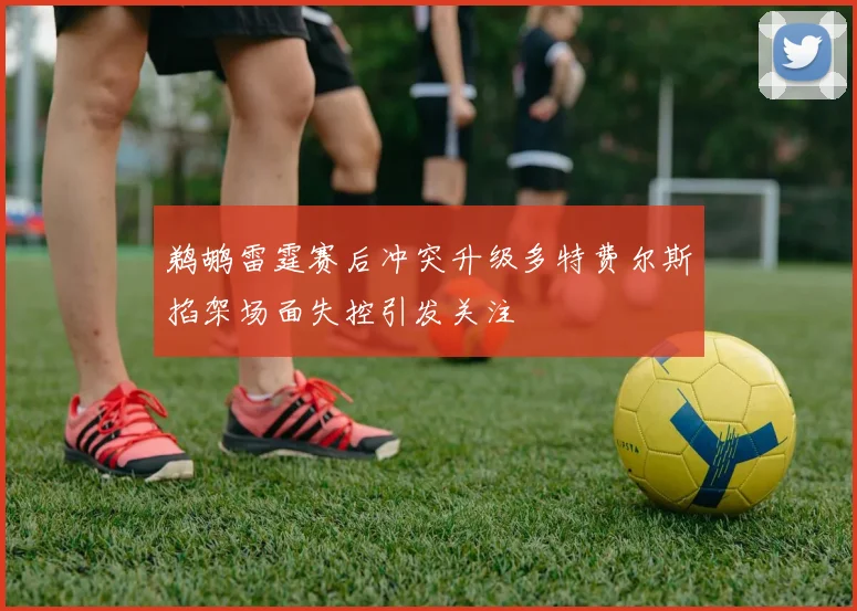鹈鹕雷霆赛后冲突升级多特费尔斯掐架场面失控引发关注